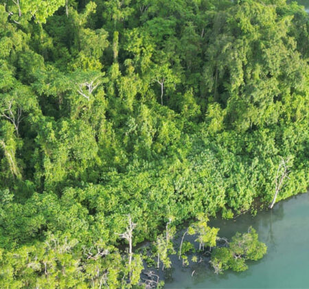 Solomon Islands