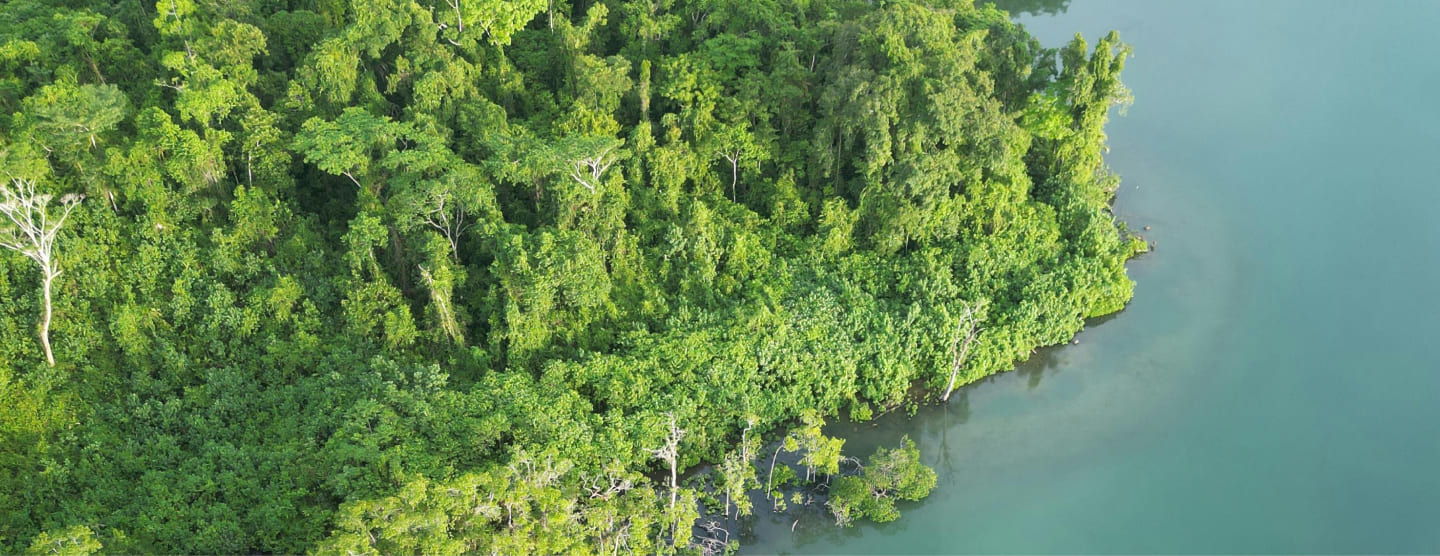 Solomon-Islands